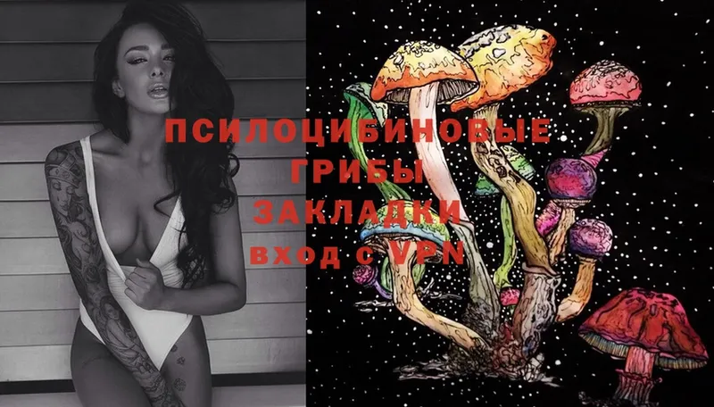 Галлюциногенные грибы Psilocybe  где купить наркоту  нарко площадка официальный сайт  Кинель  KRAKEN  